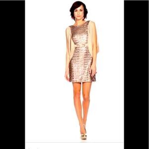ERIN Featherstone Taupe Sequined Party Dress
